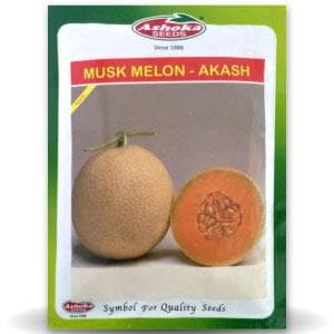 Akash Muskmelon Seeds - Ashoka Seeds | F1 Hybrid | Buy Online at Best Price