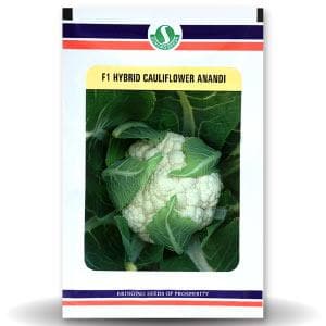 Anandi Cauliflower Seeds - Sungro | F1 Hybrid | Buy Online at Best Price
