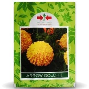 Arrow Gold Marigold Seeds - East West | F1 Hybrid | Buy Online at Best Price