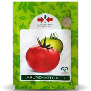 Arundhati 809 Tomato Seeds - East West | F1 Hybrid | Buy Online at Best Price