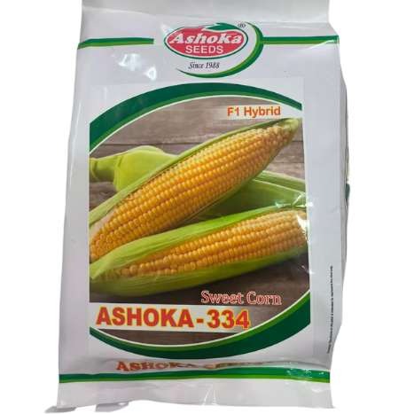 Ashoka-334 Sweet Corn Seeds - Ashoka Seeds | F1 Hybrid | Buy Online at Best Price