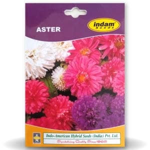 Aster Seeds - Indo American | F1 Hybrid | Buy Online at Best Price