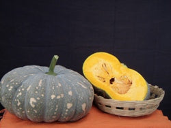 Aadi Winter Squash Seeds - Known You | F1 Hybrid | Buy Online at Best Price