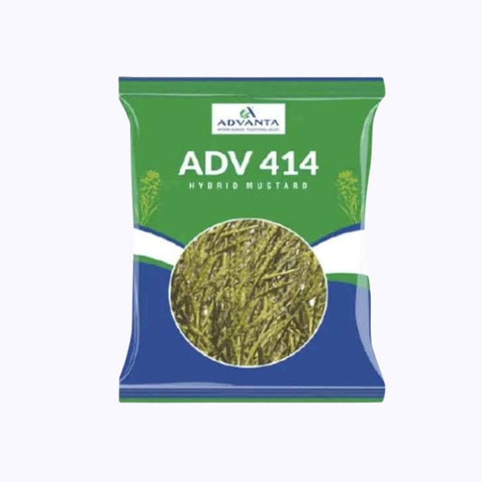 ADV 414 Mustard Seeds - Advanta | F1 Hybrid | Buy Online at Best Pricev