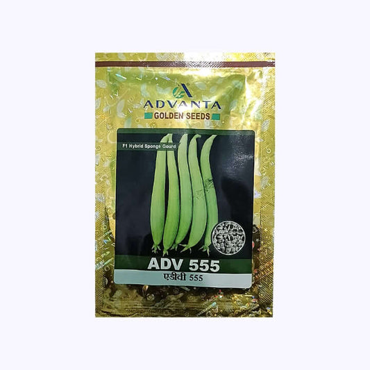 ADV 555 Sponge Gourd Seeds - Advanta | F1 Hybrid | Buy Online at Best Price