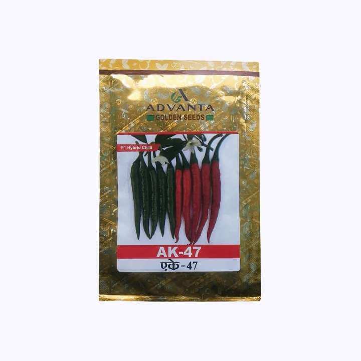 Advanta Seeds | Buy Online in India at Best Price | DesiKheti – Desikheti