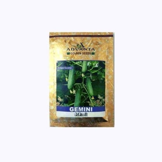 Gemini Cucumber Seeds - Advanta | F1 Hybrid | Buy Online at Best Price