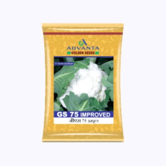 GS-75 Improved Cauliflower Seeds - Advanta | F1 Hybrid | Buy Online at Best Price