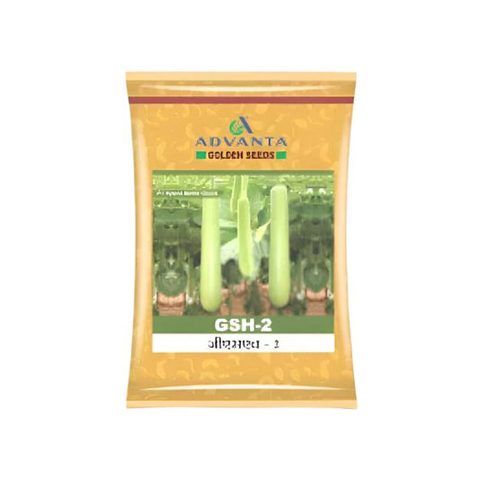 GSH-2 Bottle Gourd Seeds - Advanta | F1 Hybrid | Buy Online at Best Price