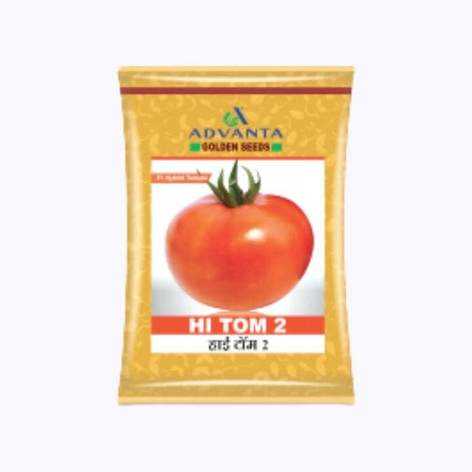 HI TOM 2 Tomato Seeds - Advanta | F1 Hybrid | Buy Online at Best Price