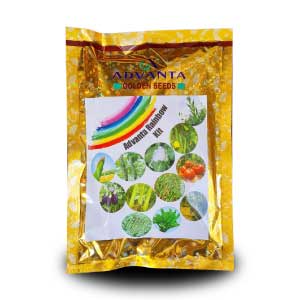 Rainbow Kit Mixed Seeds - Advanta | F1 Hybrid | Buy Online at Best Price