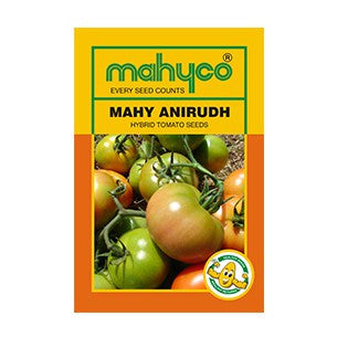 Anirudh Tomato Seeds | F1 Hybrid Tomato | Buy Online at Best Price