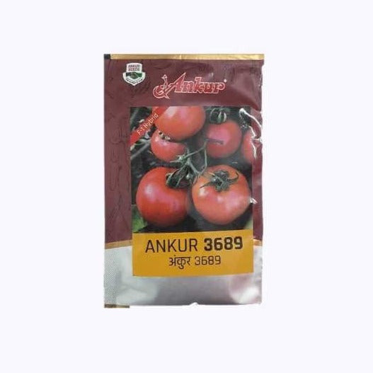 Ankur 3689 Tomato Seeds | F1 Hybrid Seeds | Buy Online at Best Price
