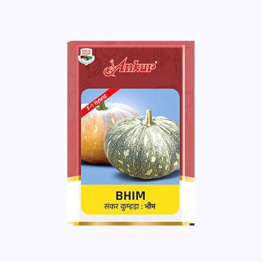 Ankur Bhim Pumpkin Seeds | F1 Hybrid | Buy Online at Best Price