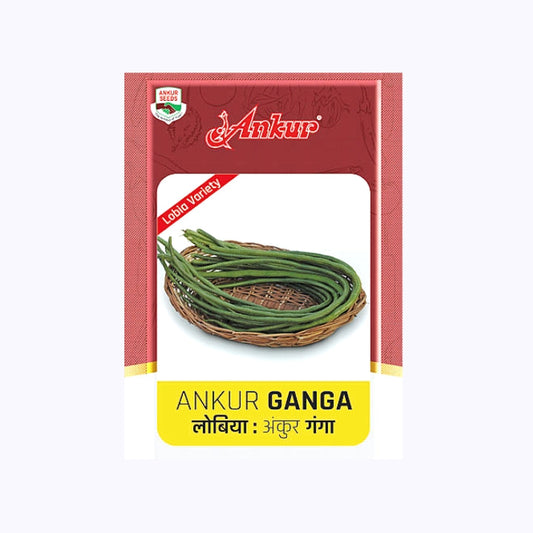 Ankur Ganga Lobia Seeds | F1 Hybrid | Buy Online at Best Price