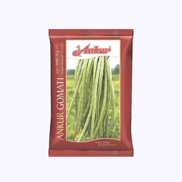 Ankur Gomati Lobia seeds | F1 Hybrid | Buy Online at Best Price