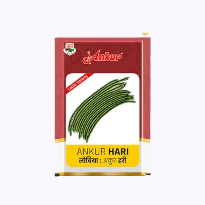 Ankur Hari Lobia Seeds | F1 Hybrid | Buy Online at Best Price