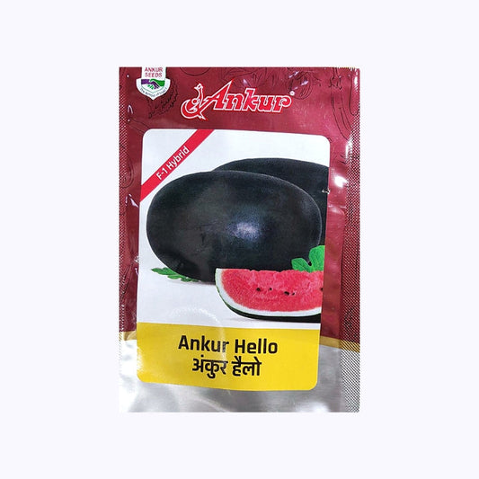 Ankur Hello Watermelon Seeds | F1 Hybrid | Buy Online at Best Price