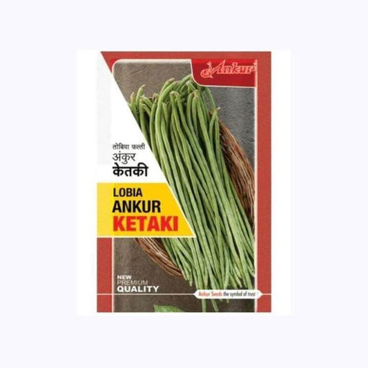Ankur Ketaki Lobia Seeds | F1 Hybrid | Buy Online at Best Price