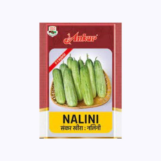 Ankur Nalini Cucumber Seeds | F1 Hybrid | Buy Online at Best Price