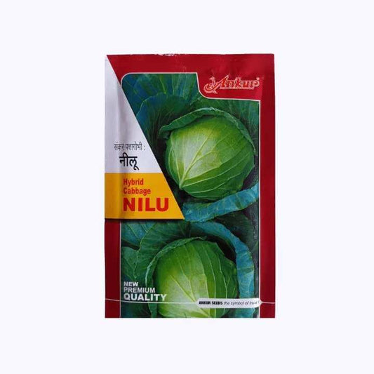 Ankur Nilu Cabbage Seeds | F1 Hybrid | Buy Online at Best Price