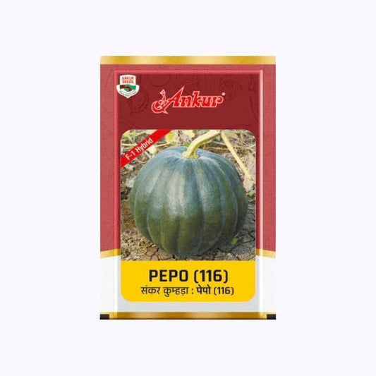 Ankur Pepo (116) Pumpkin Seeds | F1 Hybrid | Buy Online at Best Price