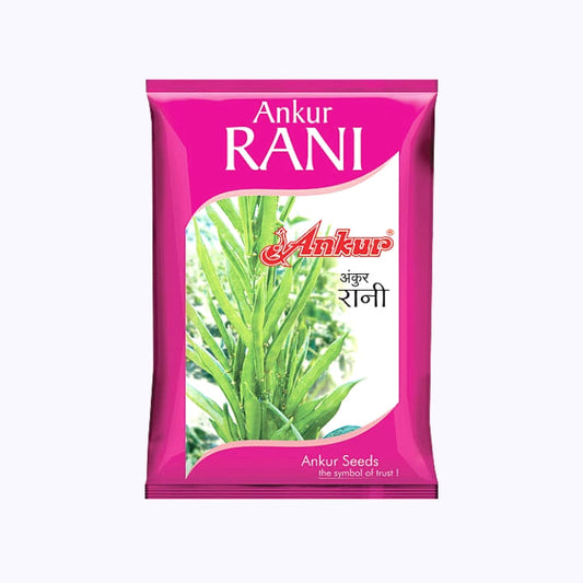 Ankur Rani Guar Seeds | F1 Hybrid | Buy Online at Best Price