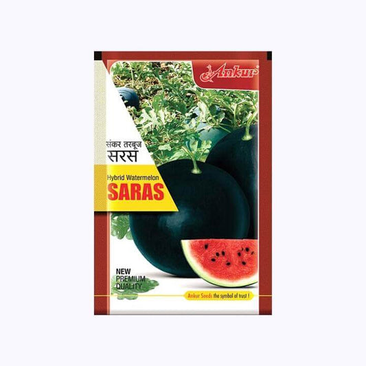 Ankur Saras Watermelon Seeds | F1 Hybrid | Buy Online at Best Price