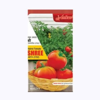 Ankur Shree Arth 2792 Tomato Seeds | F1 Hybrid | Buy Online at Best Price