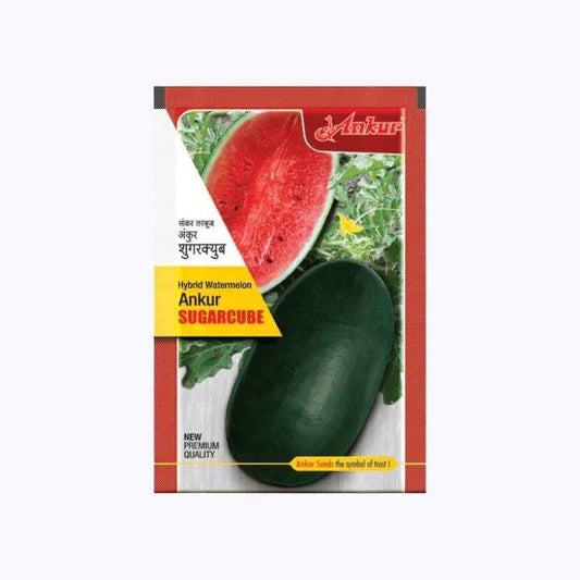 Ankur Sugar Cube Watermelon Seeds | F1 Hybrid | Buy Online at Best Price