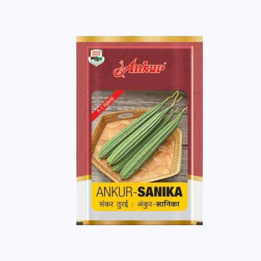 Ankur Sanika Ridge Gourd Seeds | F1 Hybrid | Buy Online at Best Price