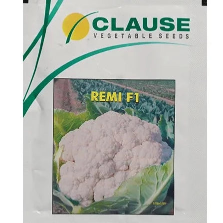 Remi Cauliflower Seeds - HM Clause | F1 Hybrid | Buy Online at Best Price
