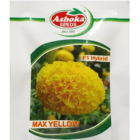 Max Yellow Marigold Seeds - Ashoka | F1 Hybrid | Buy Online at Best Price