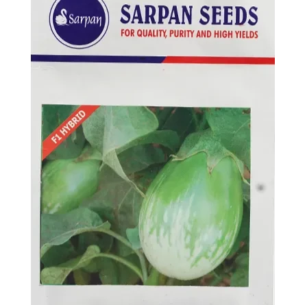 Sarpan Brinjal Kudachi 501 Seeds| F1 Hybrid | Buy Online at Best Price