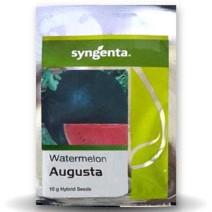 Augasta Watermelon Seeds - Syngenta | F1 Hybrid | Buy Online at Best Price