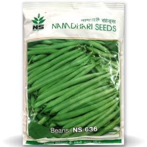 NS 636 Fine / Pencil Beans Seeds - Namdhari | F1 Hybrid | Buy Online at Best Price