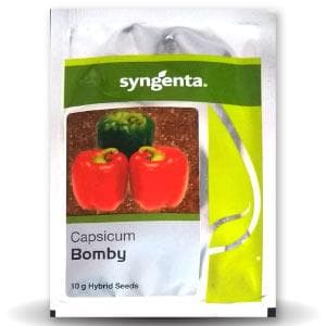 Bomby Capsicum Seeds - Syngenta | F1 Hybrid | Buy Online at Best Price