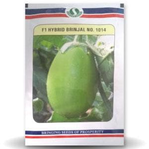 NO. 1014 Brinjal Seeds - Sungro | F1 Hybrid | Buy Online at Best Price