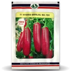 NO. 704 Brinjal Seeds - Sungro | F1 Hybrid | Buy Online at Best Price