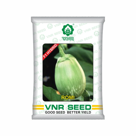 Romi Brinjal Seeds - VNR | F1 Hybrid | Buy Online at Best Price