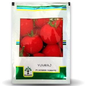 BSS 1006 (Yuvraj) Tomato - Kalash | F1 Hybrid | Buy Online at Best Price