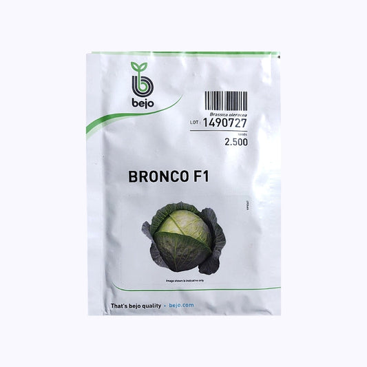 Bronco Cabbage Seeds - Bejo | F1 Hybrid | Buy Online at Best Price