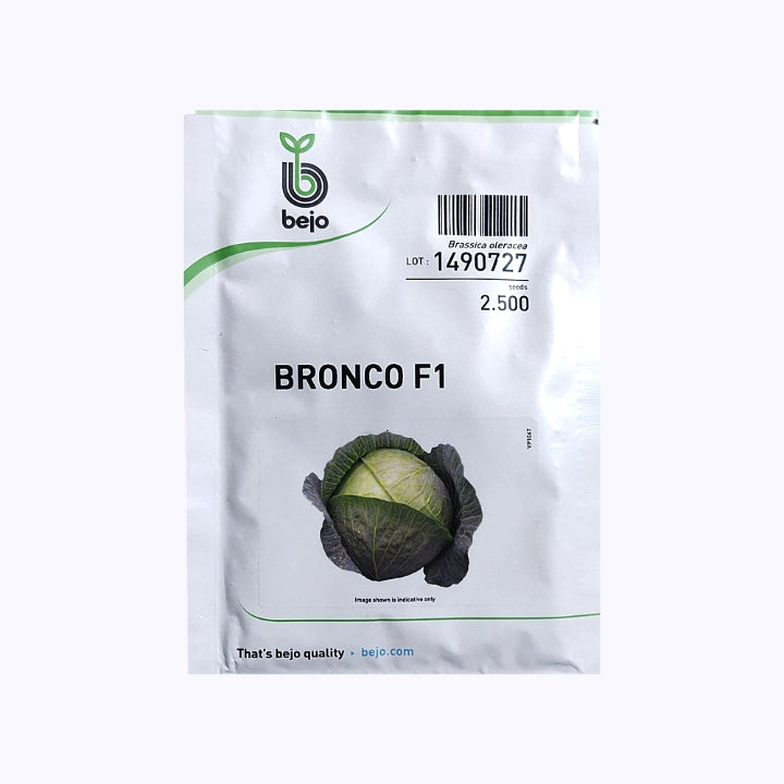 Bronco Cabbage Seeds - Bejo | F1 Hybrid | Buy Online at Best Price