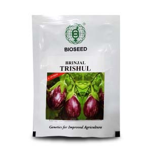 Trishul Brinjal Seeds - Bioseed | F1 Hybrid | Buy Online at Best Price