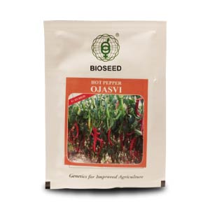 Ojasvi Chilli Seeds - Bioseed | F1 Hybrid | Buy Online at Best Price