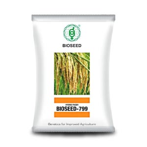 Bioseed 799 Paddy Seeds | F1 Hybrid | Buy Online at Best Price