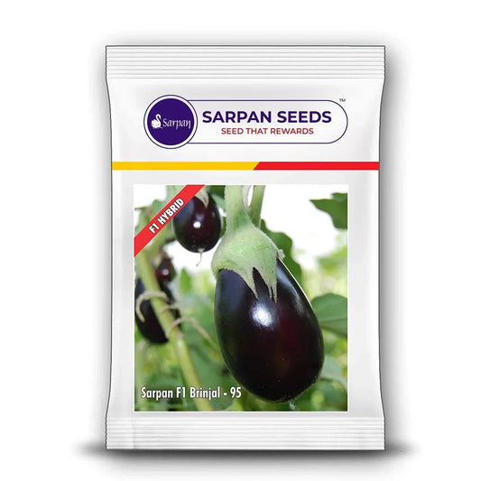 Sarpan - 95 Brinjal Seeds | F1 Hybrid | Buy Online at Best Price