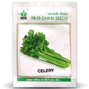 NS 1478 Green Celery Seeds - Namdhari | F1 Hybrid | Buy Online at Best Price