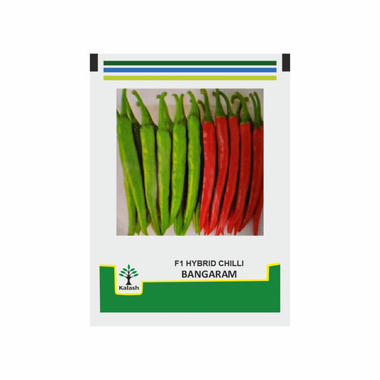 Bangaram Chilli Seeds - Kalash | F1 Hybrid | Buy Online at Best Price