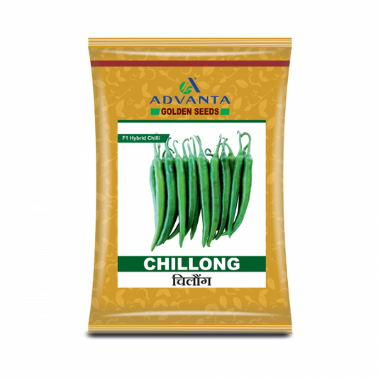 Chillong Chilli Seeds - Advanta | F1 Hybrid | Buy Online at Best Price
